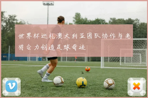 世界杯巡礼澳大利亚团队协作与老将合力创造足球奇迹